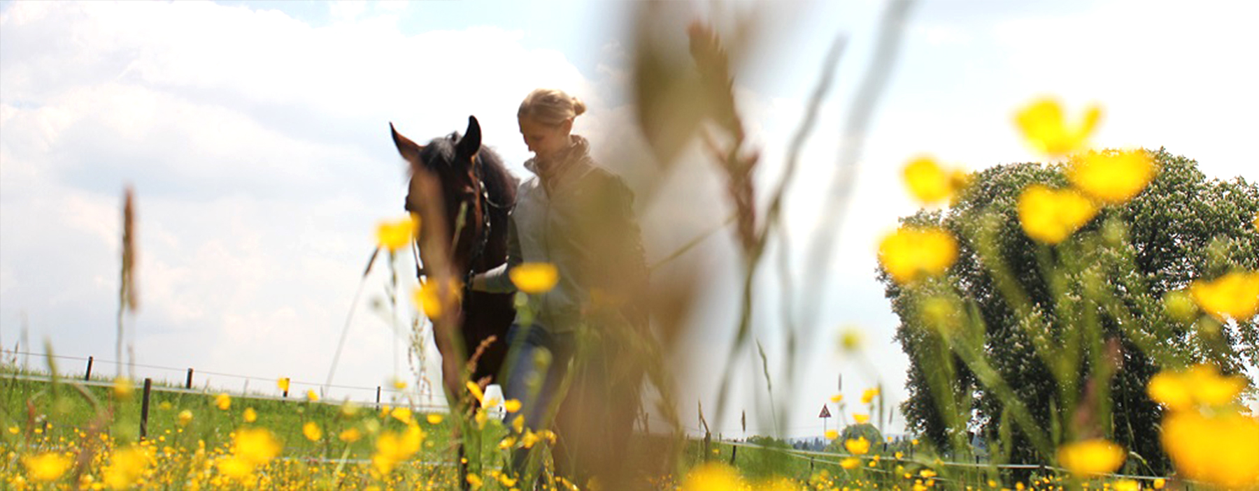 reittherapie grafing - sophie oswald